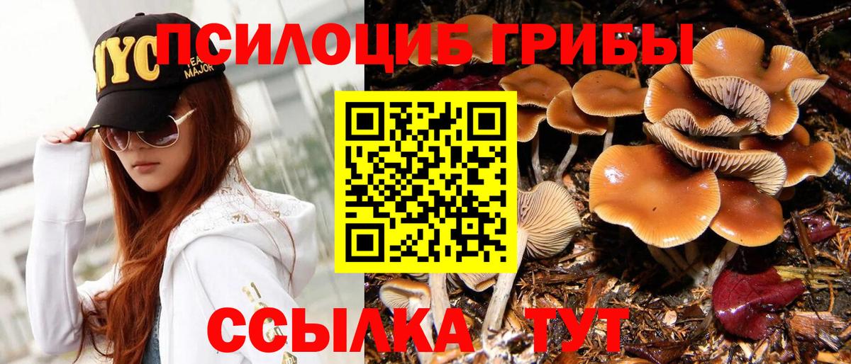 Псилоцибиновые грибы Psilocybe  Вход с VPN  Новороссийск  Псилоцибиновые грибы Psilocybine cubensis 